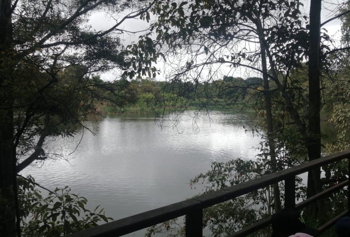 Imagen 4